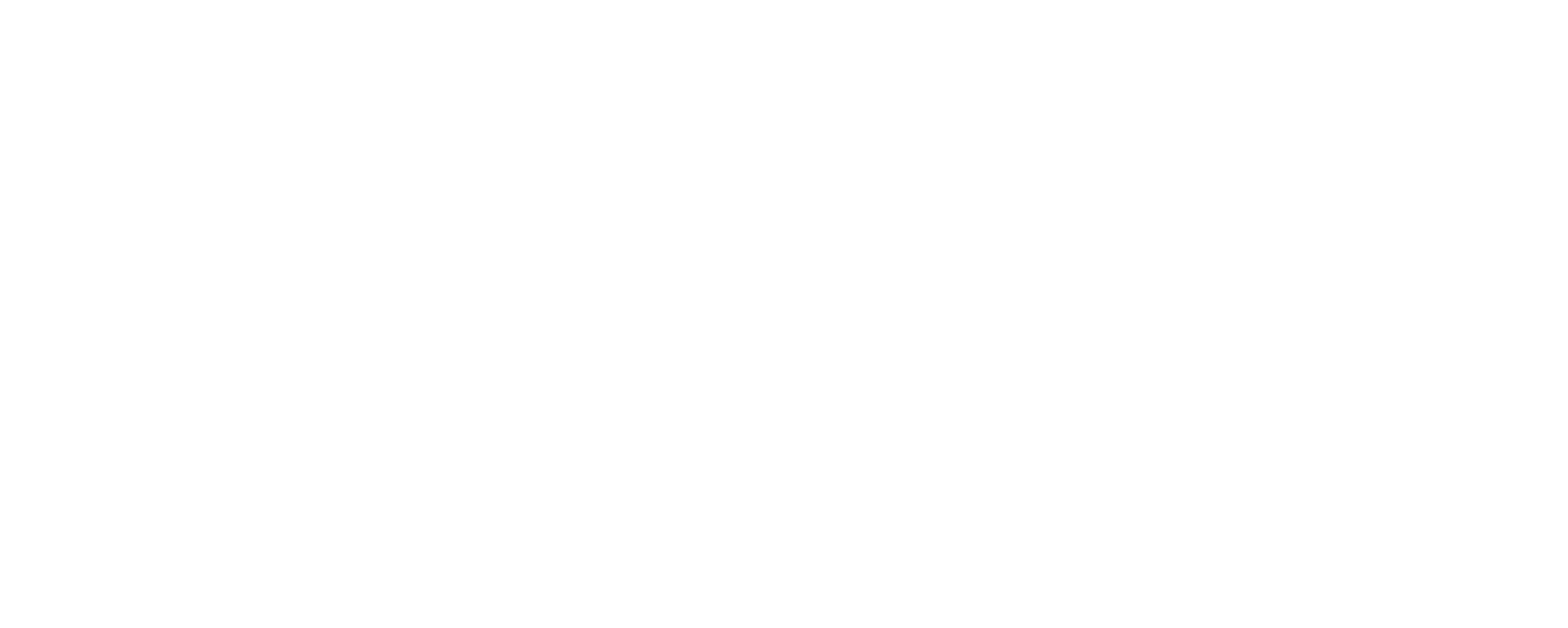RISK-Logo wit